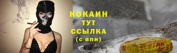 крисы Абаза