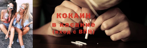 крисы Абаза