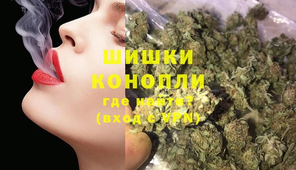 индика Тавда
