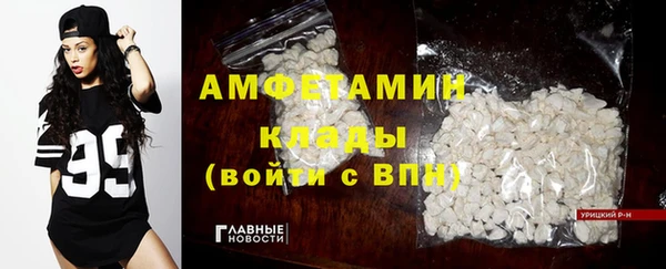 крисы Абаза