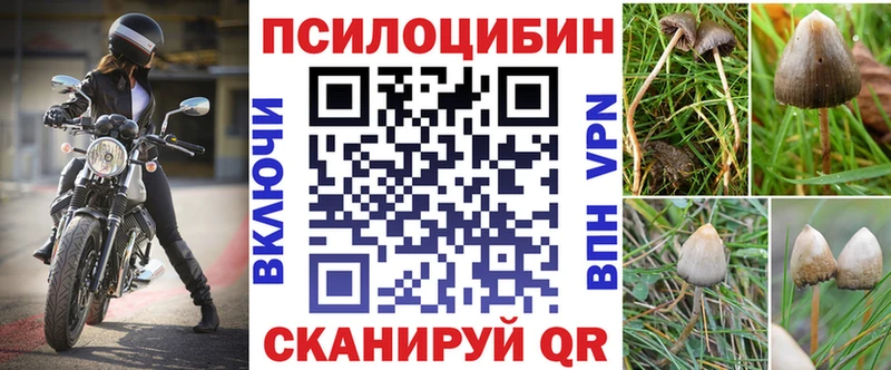 Псилоцибиновые грибы GOLDEN TEACHER  KRAKEN вход  Новокузнецк 